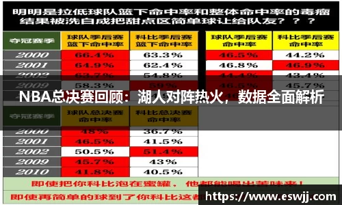 NBA总决赛回顾：湖人对阵热火，数据全面解析